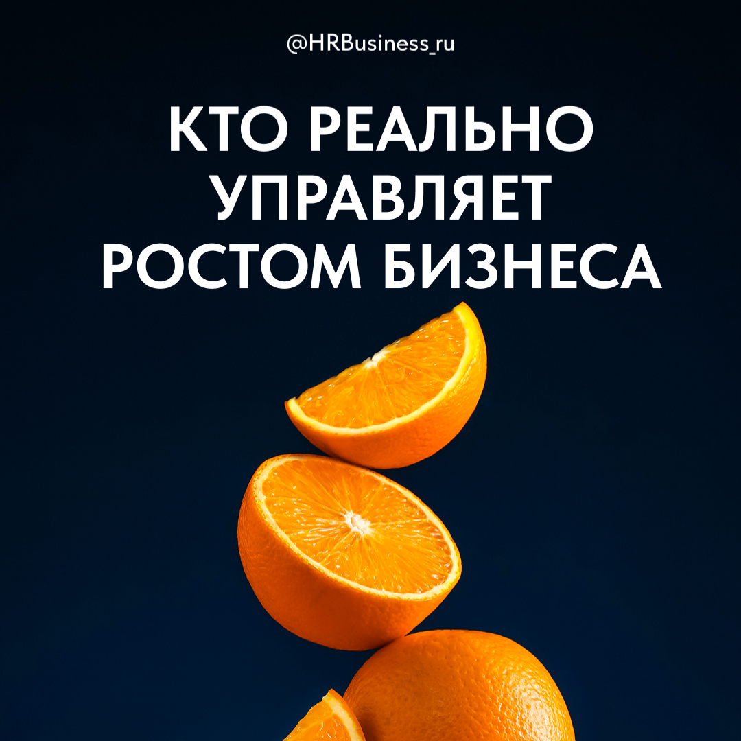 📊 КТО НА САМОМ ДЕЛЕ УПРАВЛЯЕТ РОСТОМ БИЗНЕСА | Сетка — социальная сеть от hh.ru
