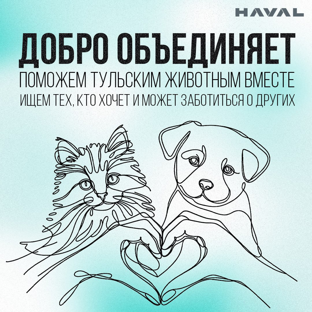 ❤️ Сердце не камень: поможем хвостатым вместе
Приглашаем сотрудников завода HAVAL в Тульской области стать частью волонтерской инициативы и помочь животным из приютов! Вместе мы сможем собрать корм, л... | Сетка — социальная сеть от hh.ru