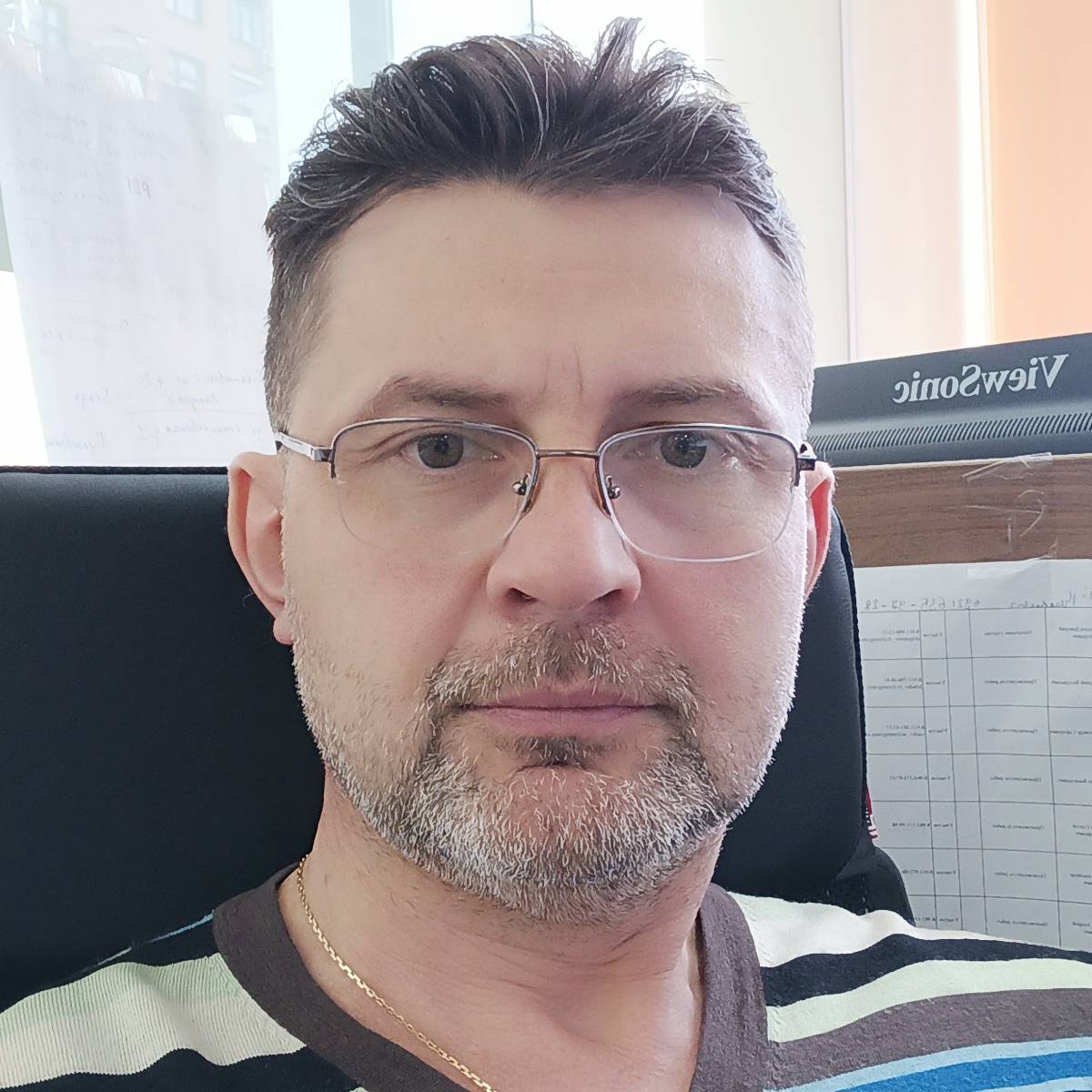 Роман Таможный