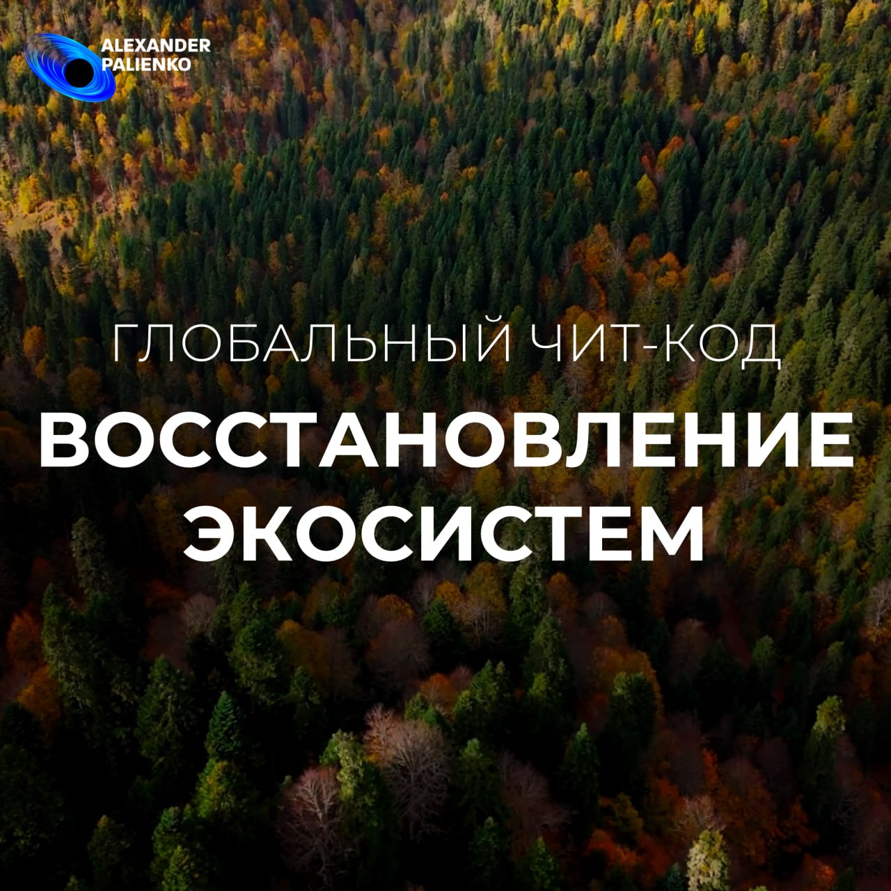 Глобальный чит-код ВОССТАНОВЛЕНИЕ ЭКОСИСТЕМ
Чит-код
Доброта
Проявление доброты к людям, детям, животным, родственникам, близким — это основа гармоничных отношений в нашей жизни | Сетка — социальная сеть от hh.ru