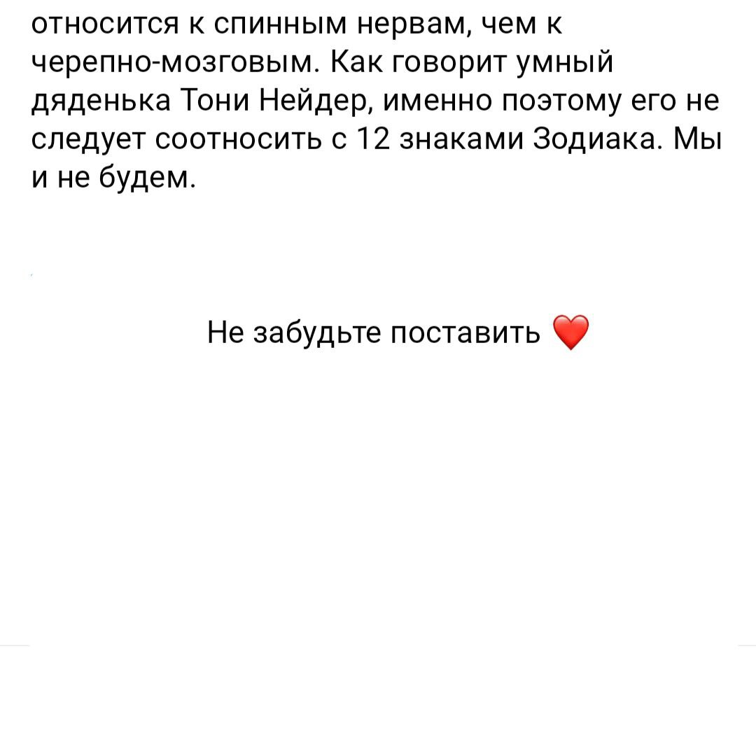 Про связь 12 знаков Зодиака с 12 парами черепных нервов | Сетка — социальная сеть от hh.ru