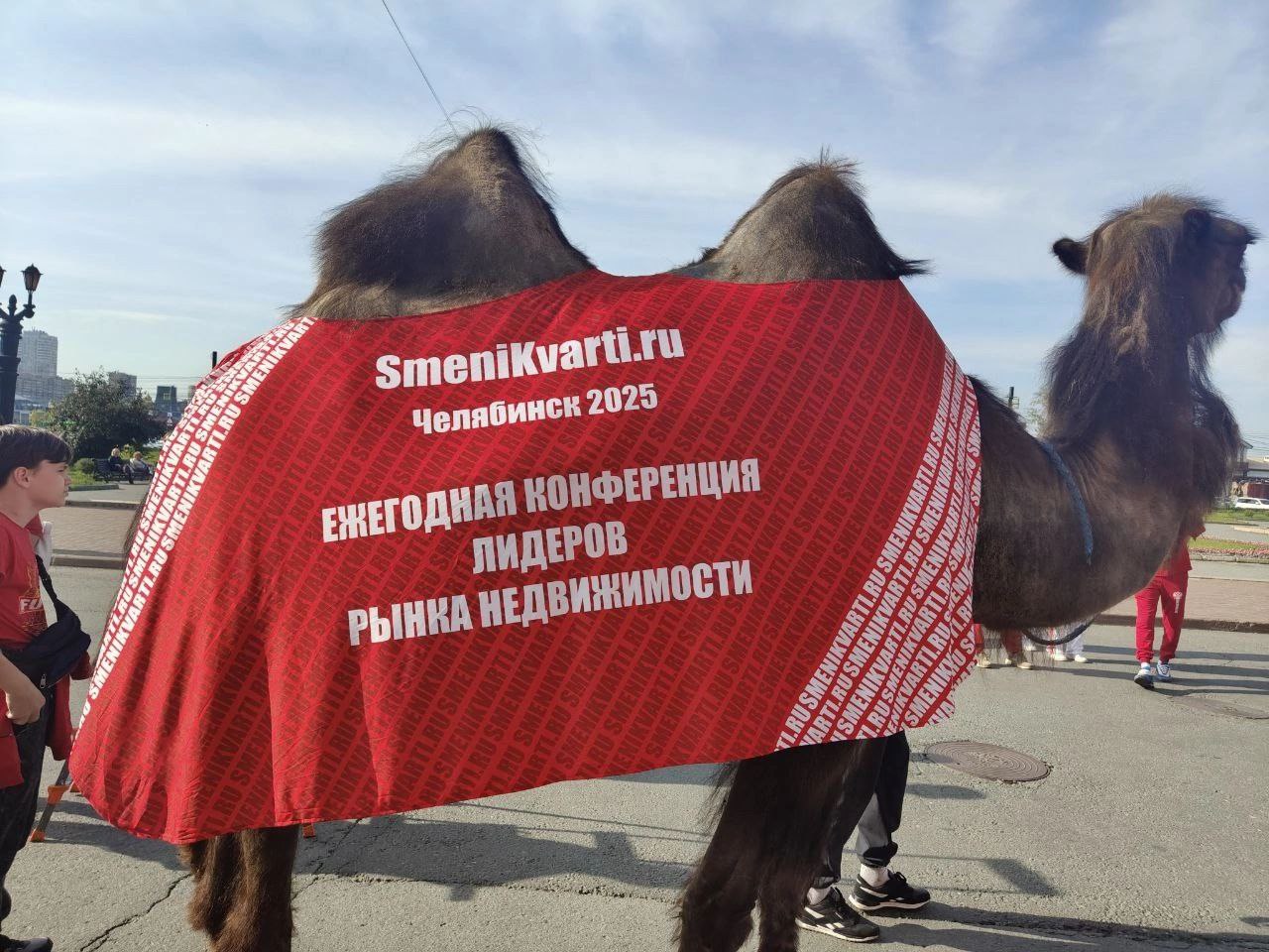 Открытие конференции🥳
Челябинск 2025 | Сетка — социальная сеть от hh.ru