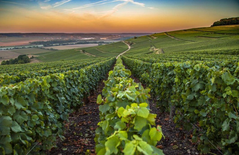 Explore Champagne — France Travel Tips
Celebrating 10 Years of Champagne as a UNESCO World Heritage Site
As Coco Chanel famously said, “I only drink Champagne on two occasions: when I am in love and w... | Сетка — социальная сеть от hh.ru