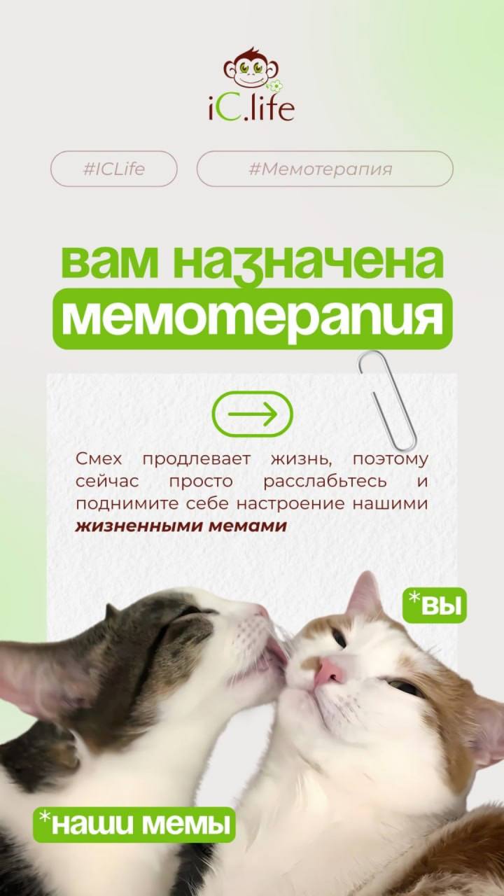 🔥 Если у вас нет сторис — у вас нет аудитории.
ВКонтакте больше не просто соцсеть. Это целая экосистема, где внимание пользователей живёт в вертикальном формате | Сетка — социальная сеть от hh.ru