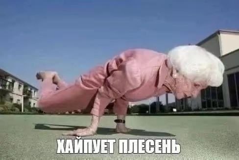 С сегодняшнего дня я официально больше не владею каким-то там доменом, который был куплен мною для демонстрации моего диплома(что было одним из требований) год назад | Сетка — социальная сеть от hh.ru