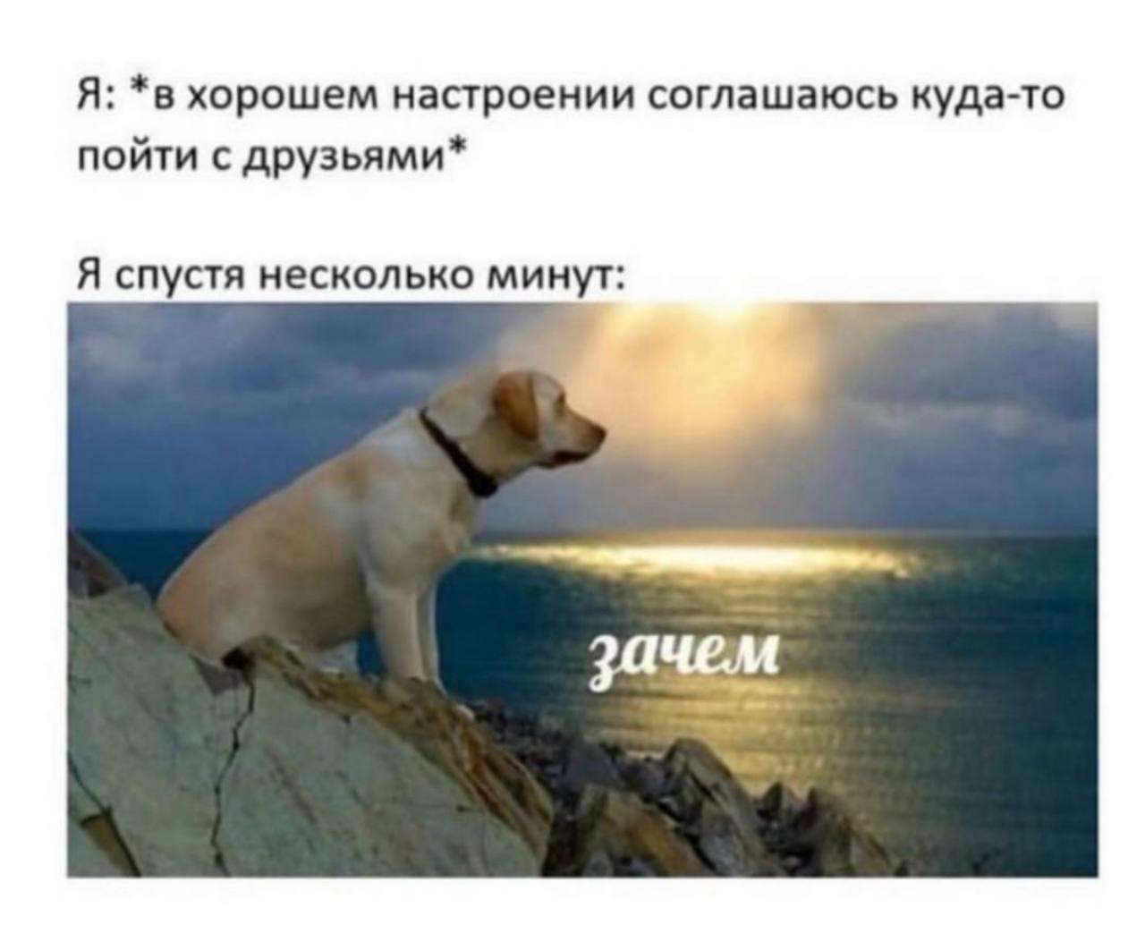 Делись в комментариях своим любимым мемом прошлой недели.
#понирупор #мемврупор | Сетка — социальная сеть от hh.ru