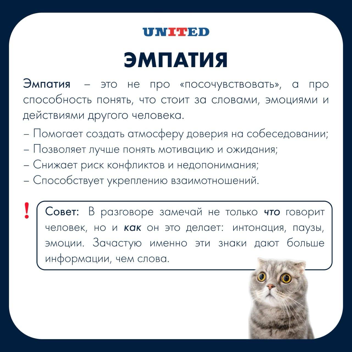 Навыки, без которых точно никак 🤩 | Сетка — социальная сеть от hh.ru