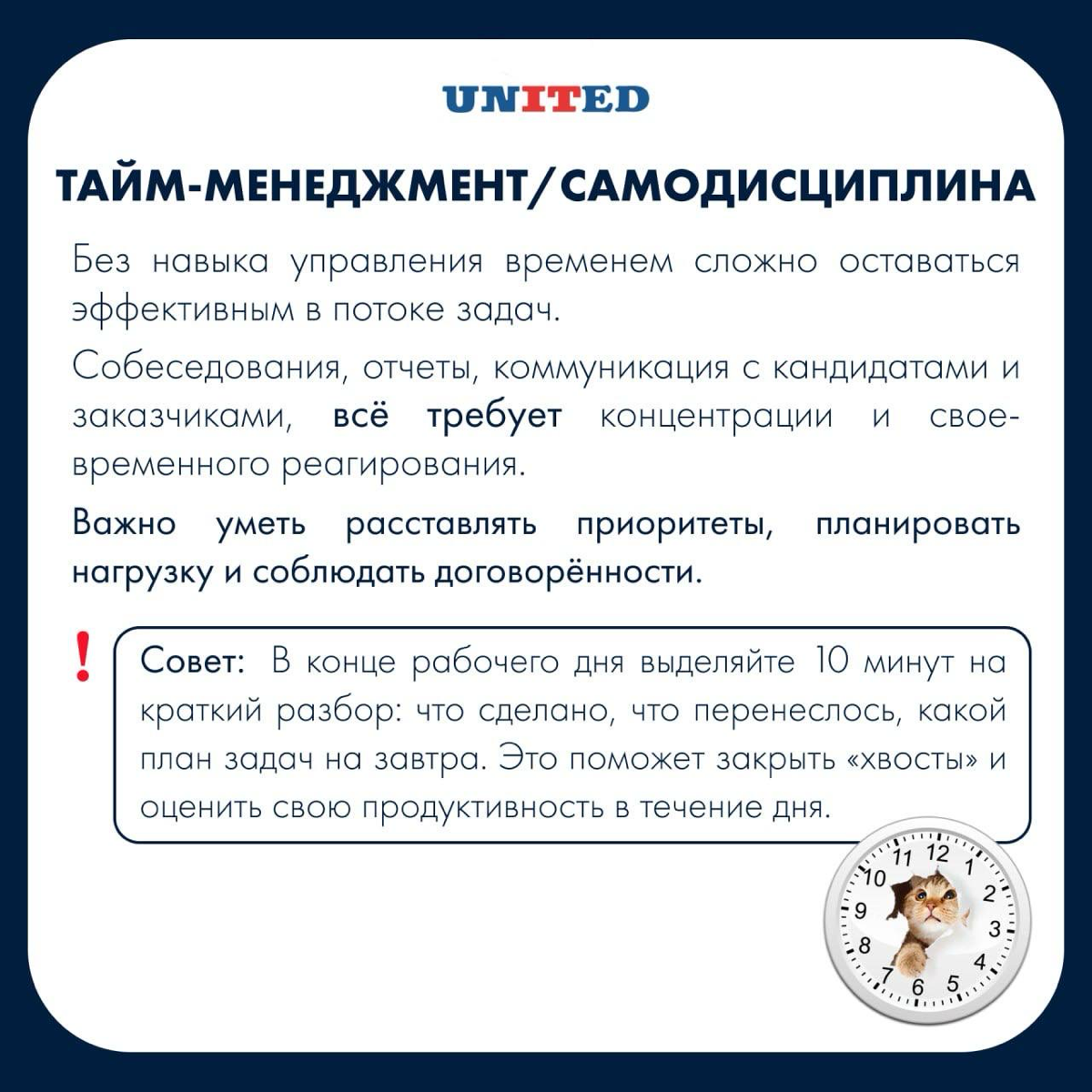 Навыки, без которых точно никак 🤩 | Сетка — социальная сеть от hh.ru