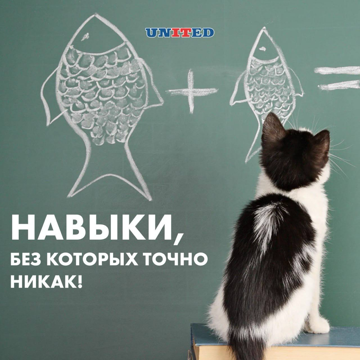 Навыки, без которых точно никак 🤩 | Сетка — социальная сеть от hh.ru