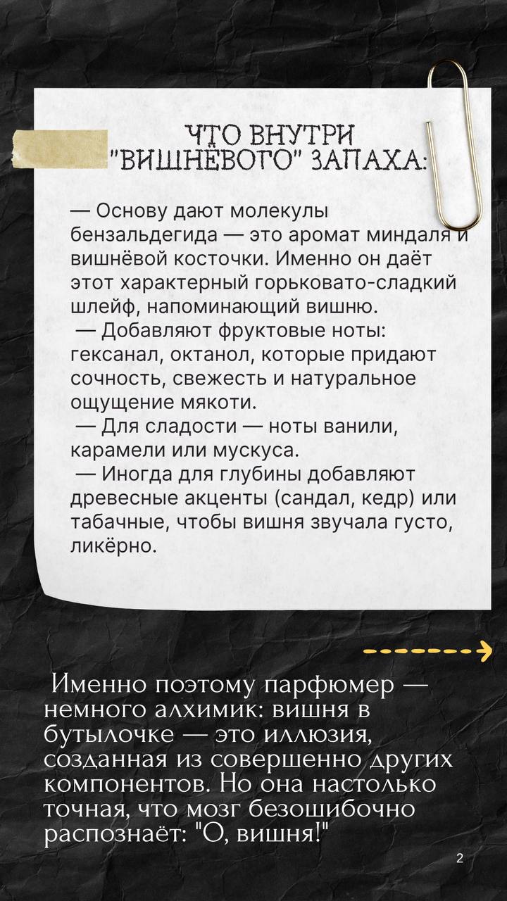 #Непрокарьеру | Сетка — социальная сеть от hh.ru