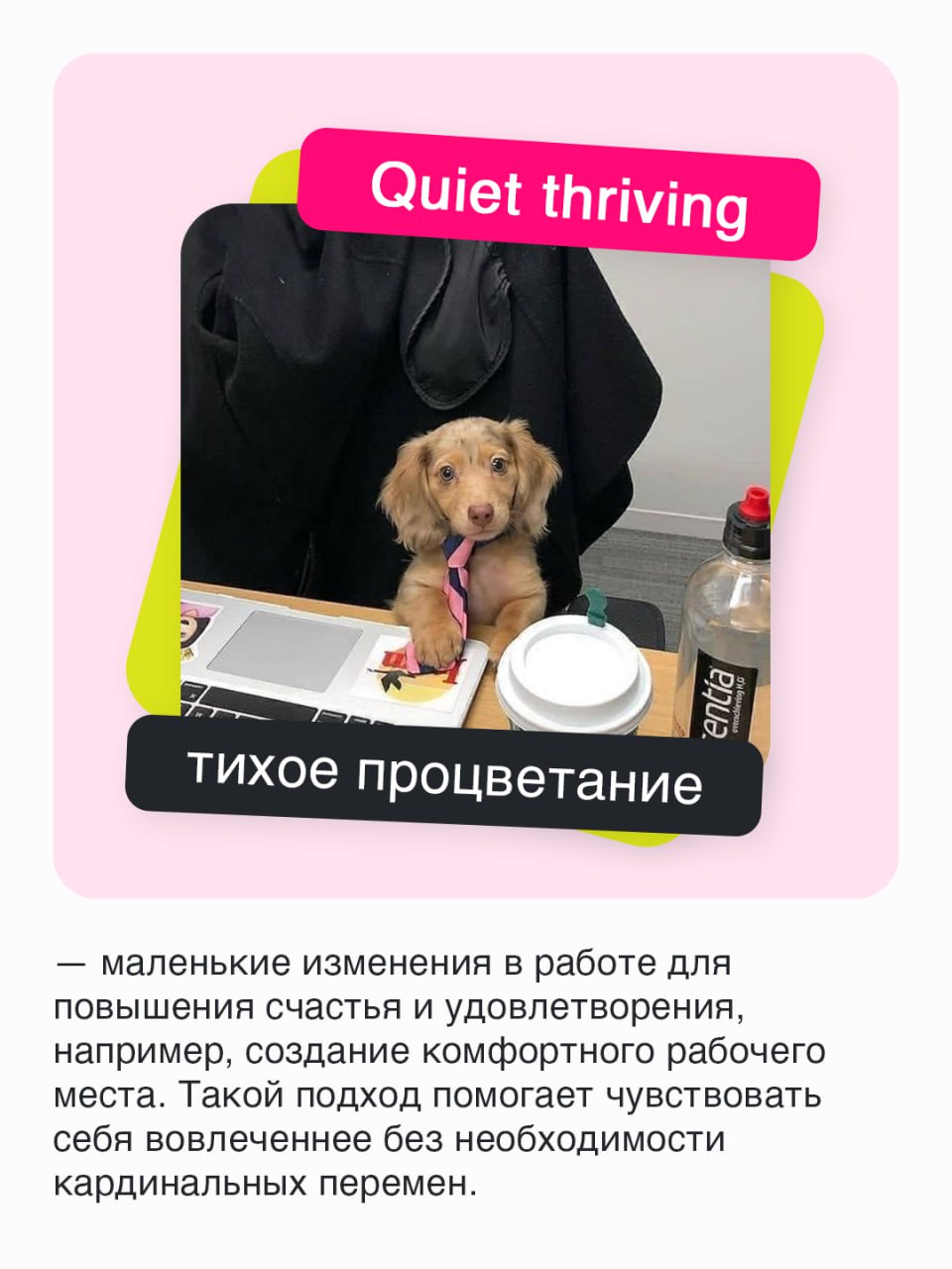Модные слова из мира удаленщиков и не только📱
Жизнь с развитием Интернета приобрела много красок, а работа и подавно. Теперь выполнять задачи можно во время путешествий или лежа в кровати | Сетка — социальная сеть от hh.ru