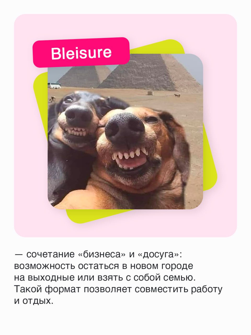 Модные слова из мира удаленщиков и не только📱
Жизнь с развитием Интернета приобрела много красок, а работа и подавно. Теперь выполнять задачи можно во время путешествий или лежа в кровати | Сетка — социальная сеть от hh.ru