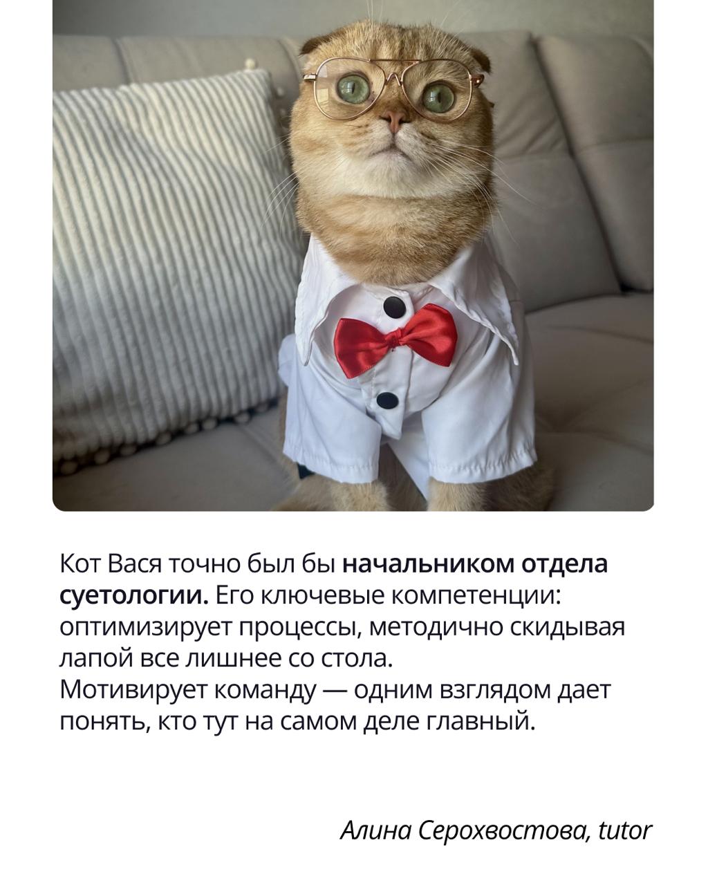 🟣 Pravopet — неофициальный штаб хорошего настроения
Корпоративный чат Pravopet создан объединять любителей животных и дарить всем положительные эмоции | Сетка — социальная сеть от hh.ru