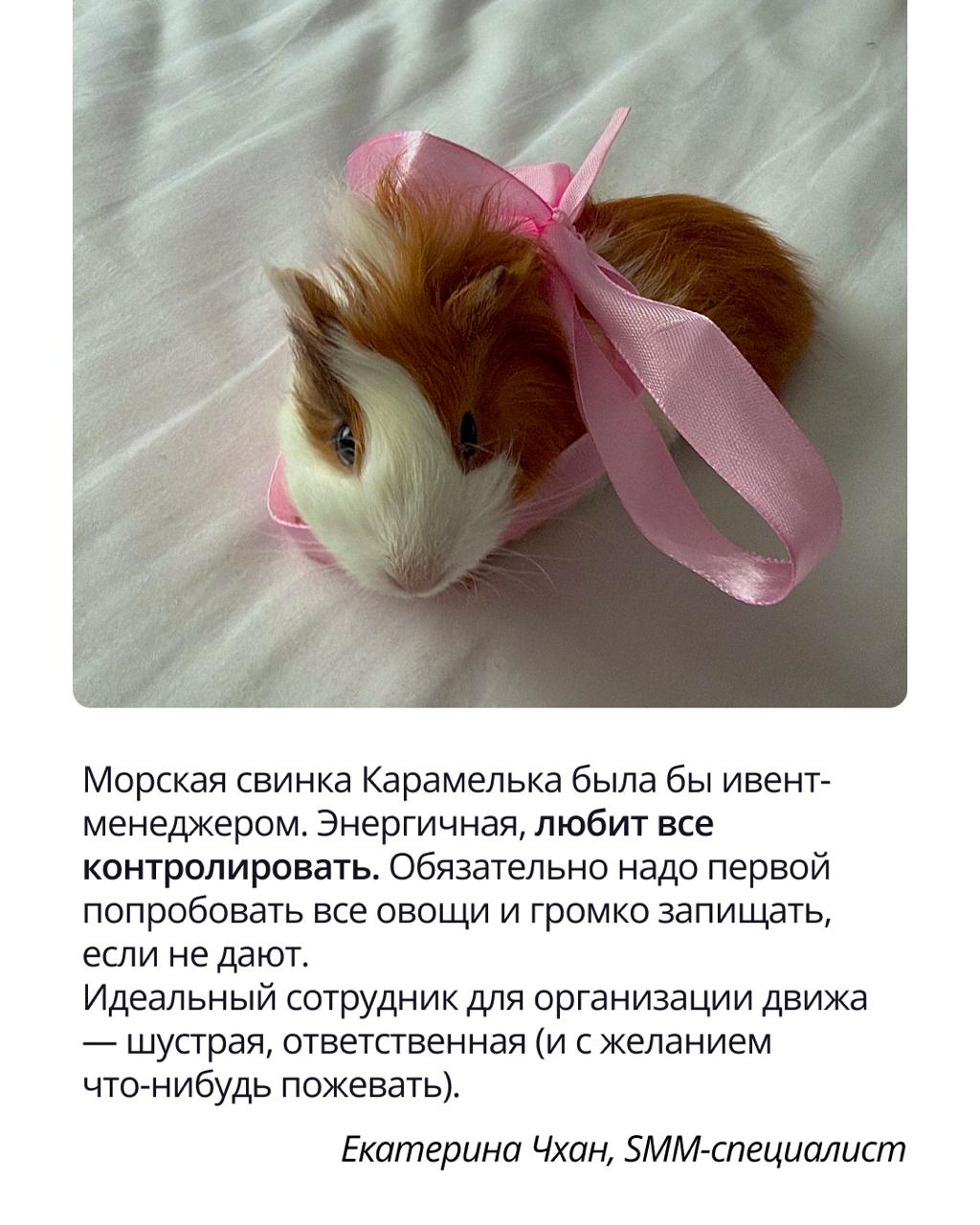 🟣 Pravopet — неофициальный штаб хорошего настроения
Корпоративный чат Pravopet создан объединять любителей животных и дарить всем положительные эмоции | Сетка — социальная сеть от hh.ru