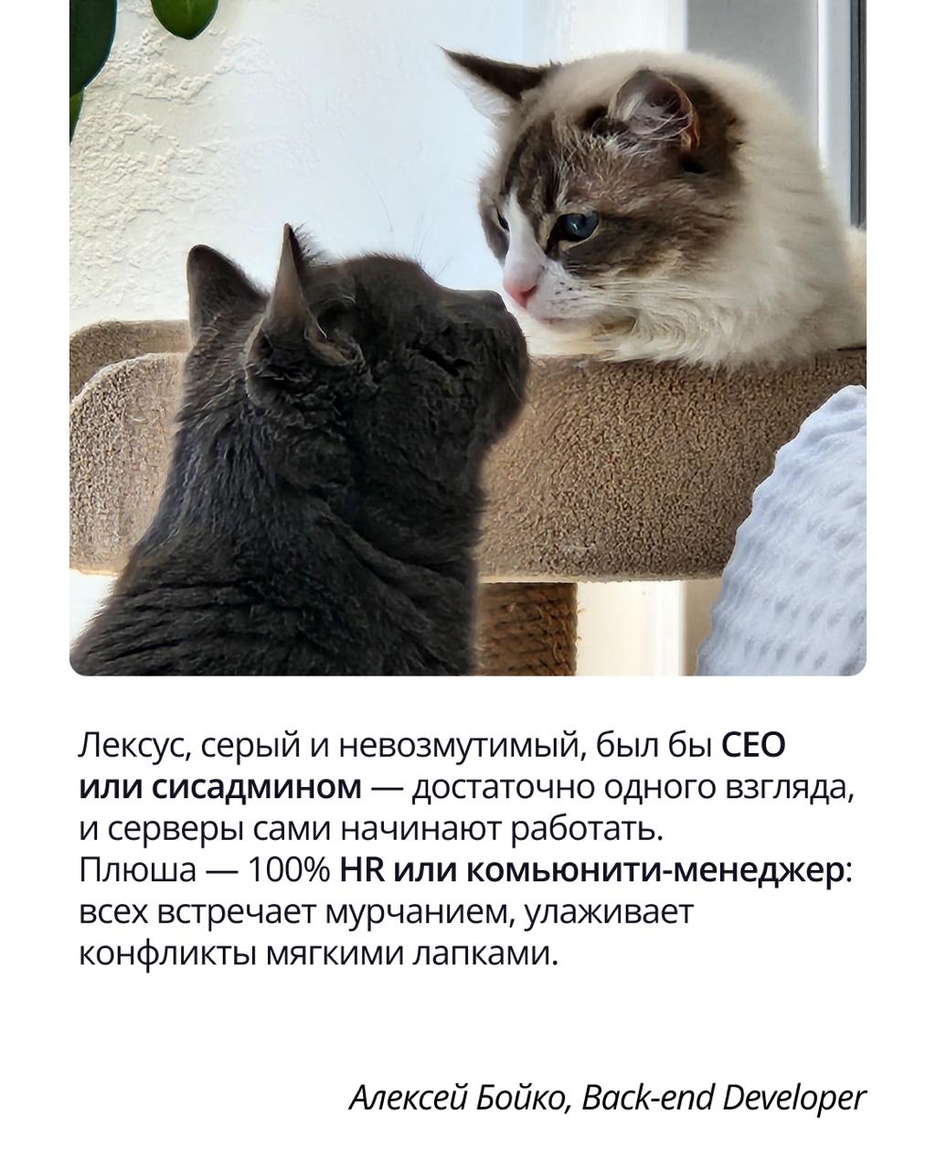 🟣 Pravopet — неофициальный штаб хорошего настроения
Корпоративный чат Pravopet создан объединять любителей животных и дарить всем положительные эмоции | Сетка — социальная сеть от hh.ru