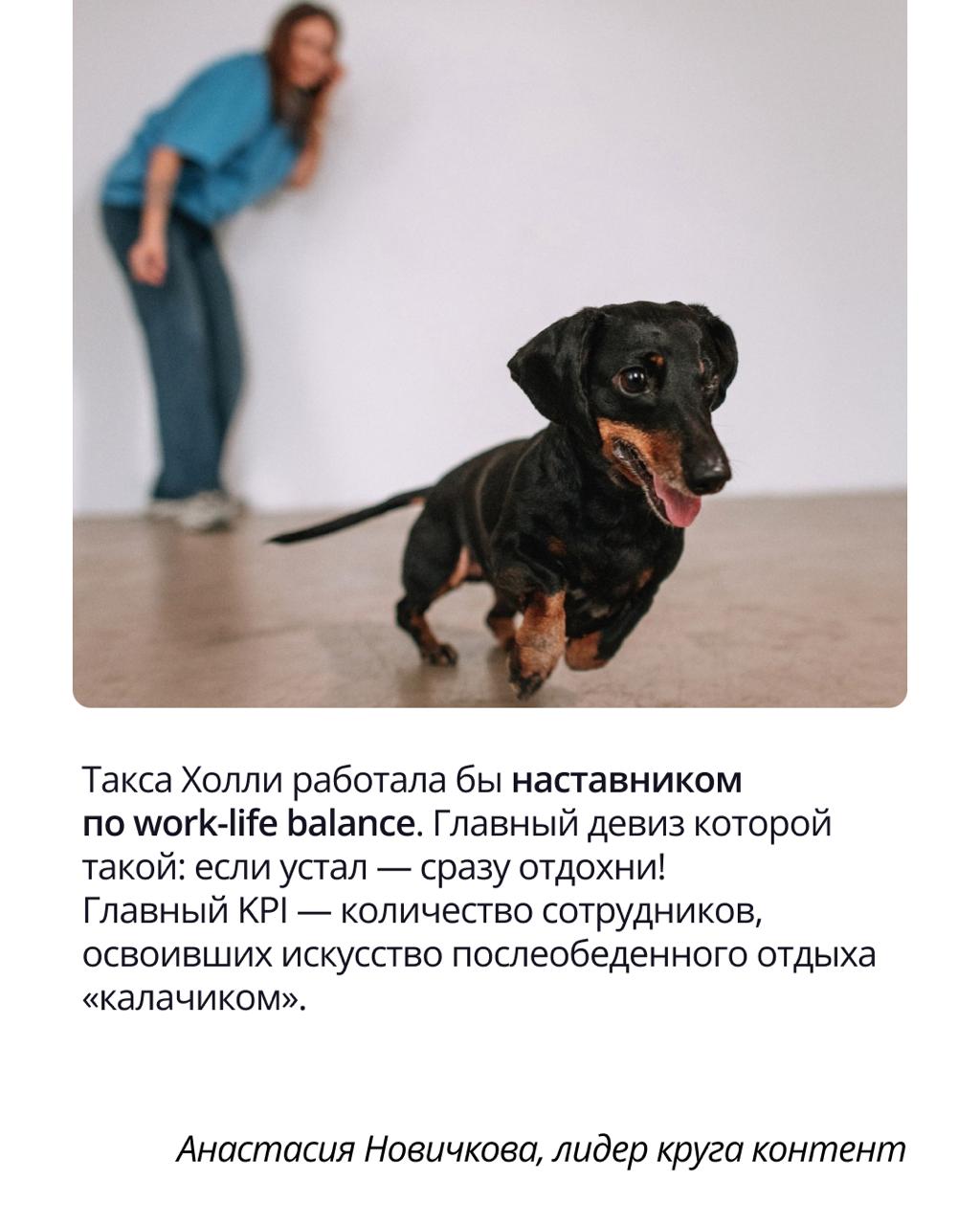 🟣 Pravopet — неофициальный штаб хорошего настроения
Корпоративный чат Pravopet создан объединять любителей животных и дарить всем положительные эмоции | Сетка — социальная сеть от hh.ru