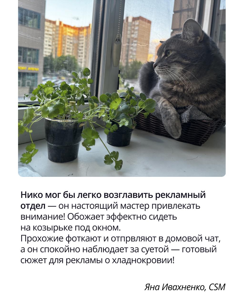 🟣 Pravopet — неофициальный штаб хорошего настроения
Корпоративный чат Pravopet создан объединять любителей животных и дарить всем положительные эмоции | Сетка — социальная сеть от hh.ru