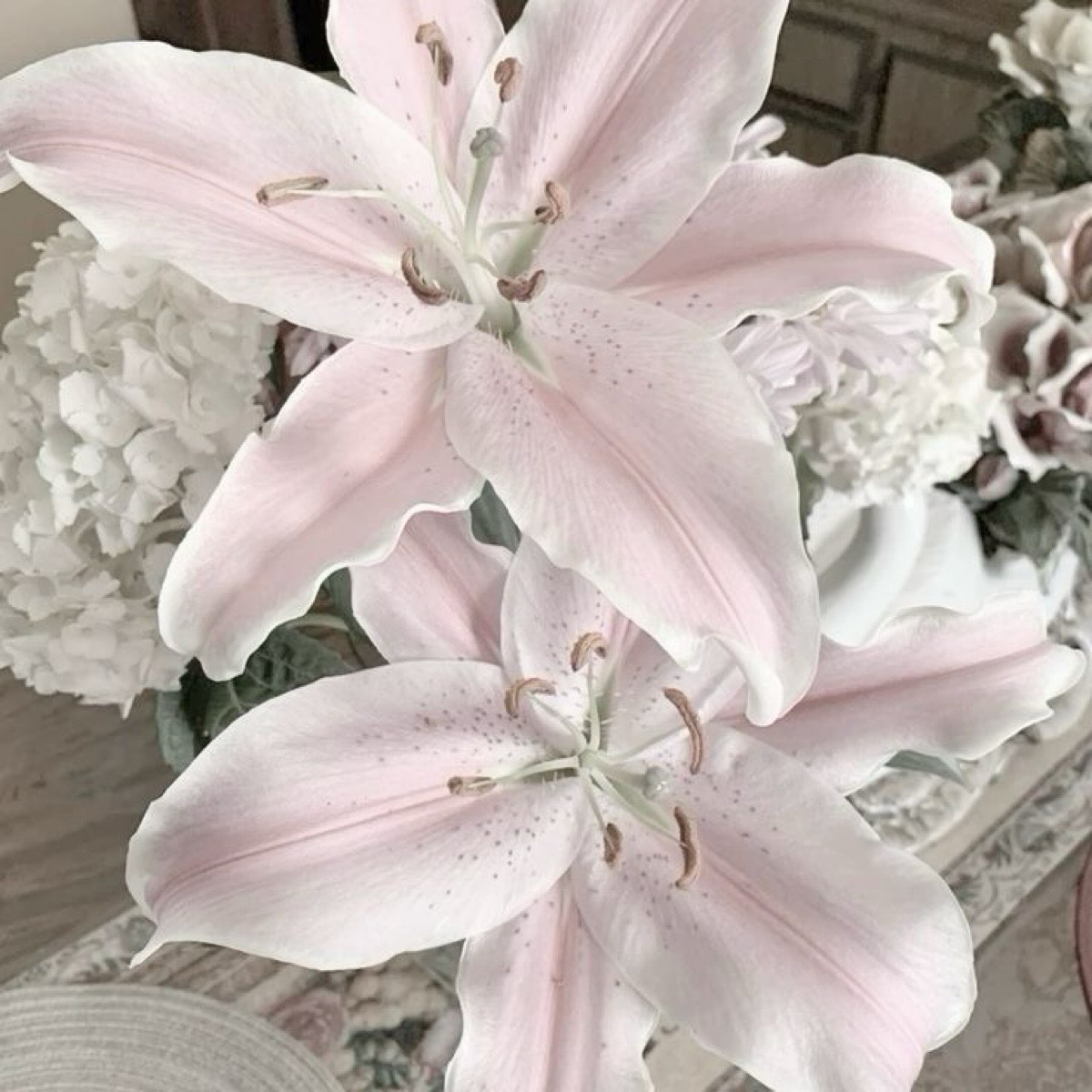 Лиза Смирнова