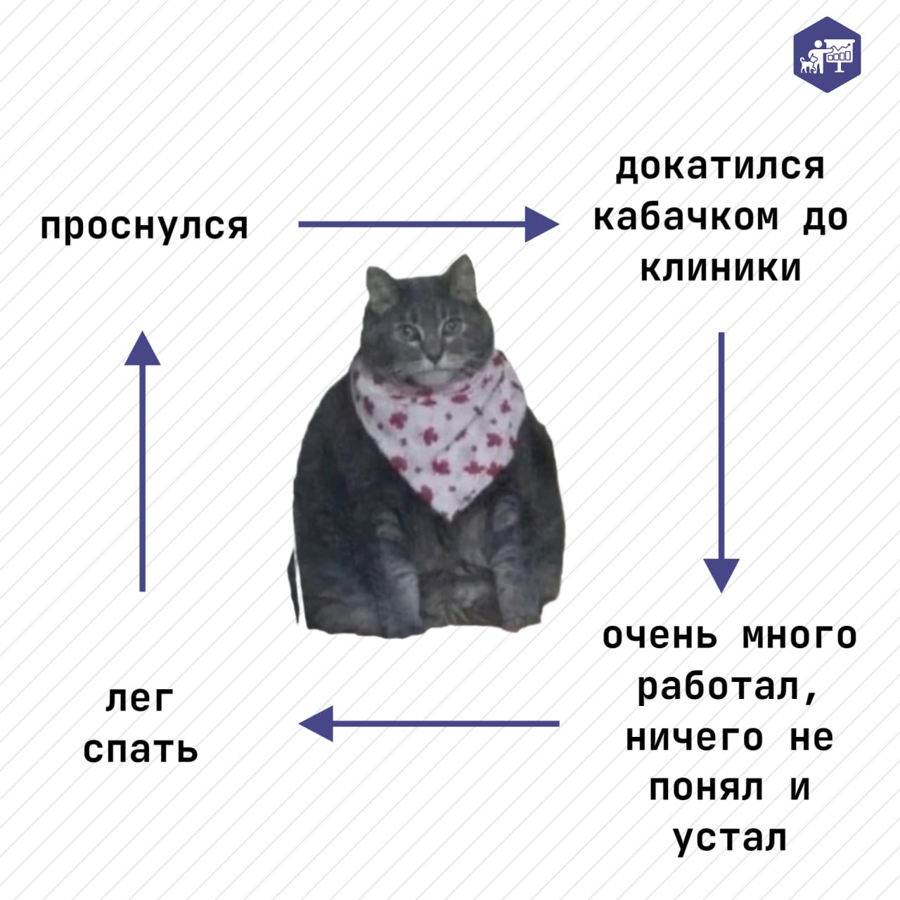 Июнь be like, делитесь, как прошел:
❤️ — как на картинке
👏 — очень продуктивно | Сетка — социальная сеть от hh.ru