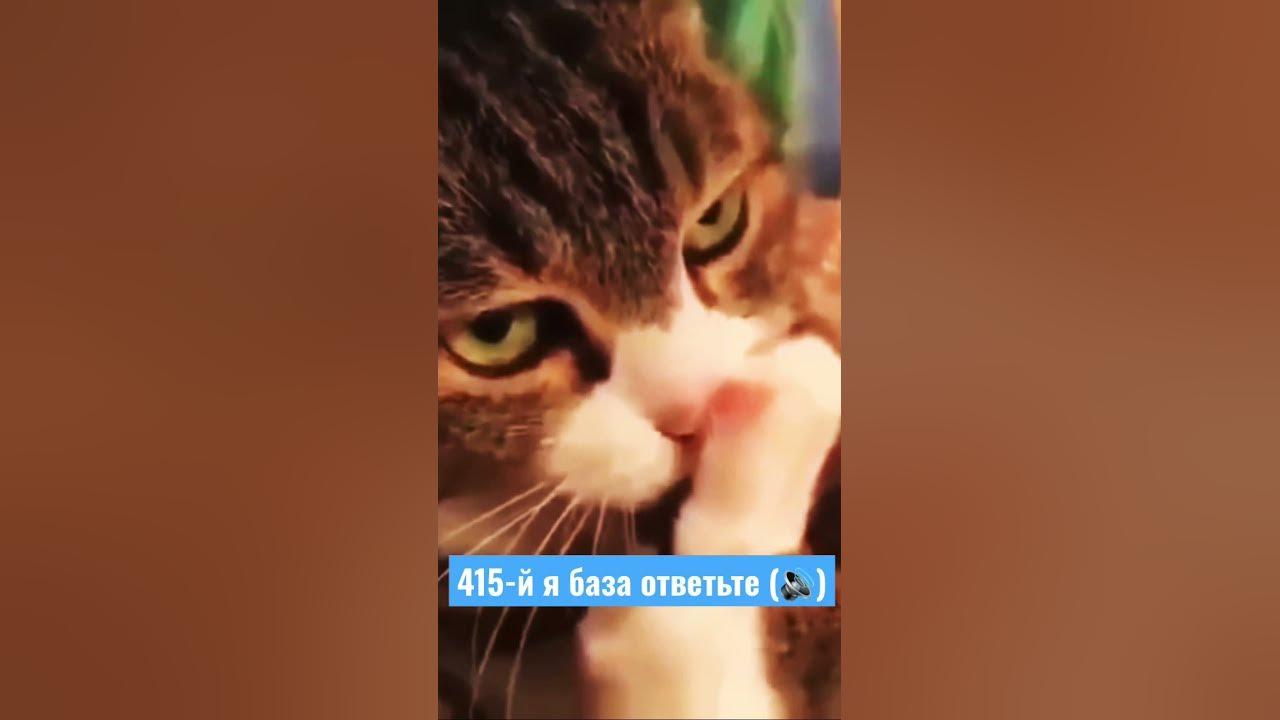 Обратная связь пропала.
Во время найма я бы разделил обратную связь на две группы | Сетка — социальная сеть от hh.ru