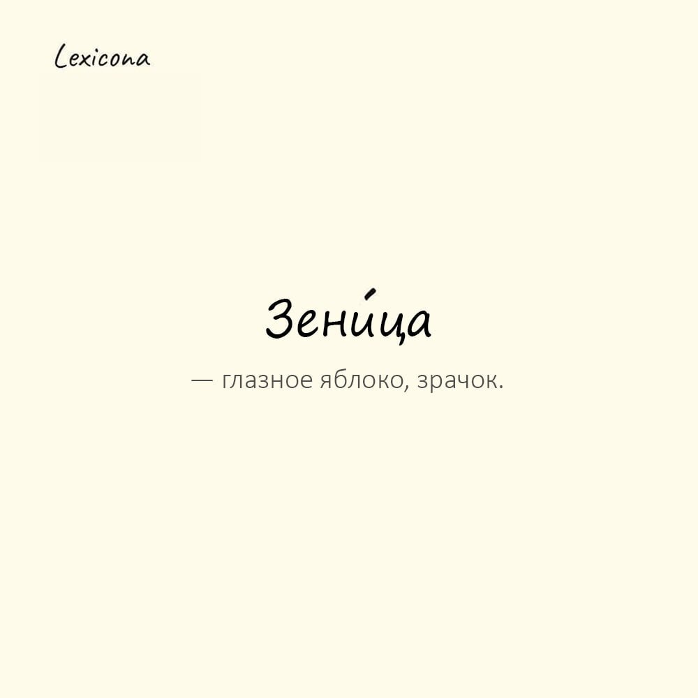 Зеница — глазное яблоко, зрачок
Пример употребления:
Он берег её, как зеницу ока, зная, что она — его последняя надежда. | Сетка — социальная сеть от hh.ru
