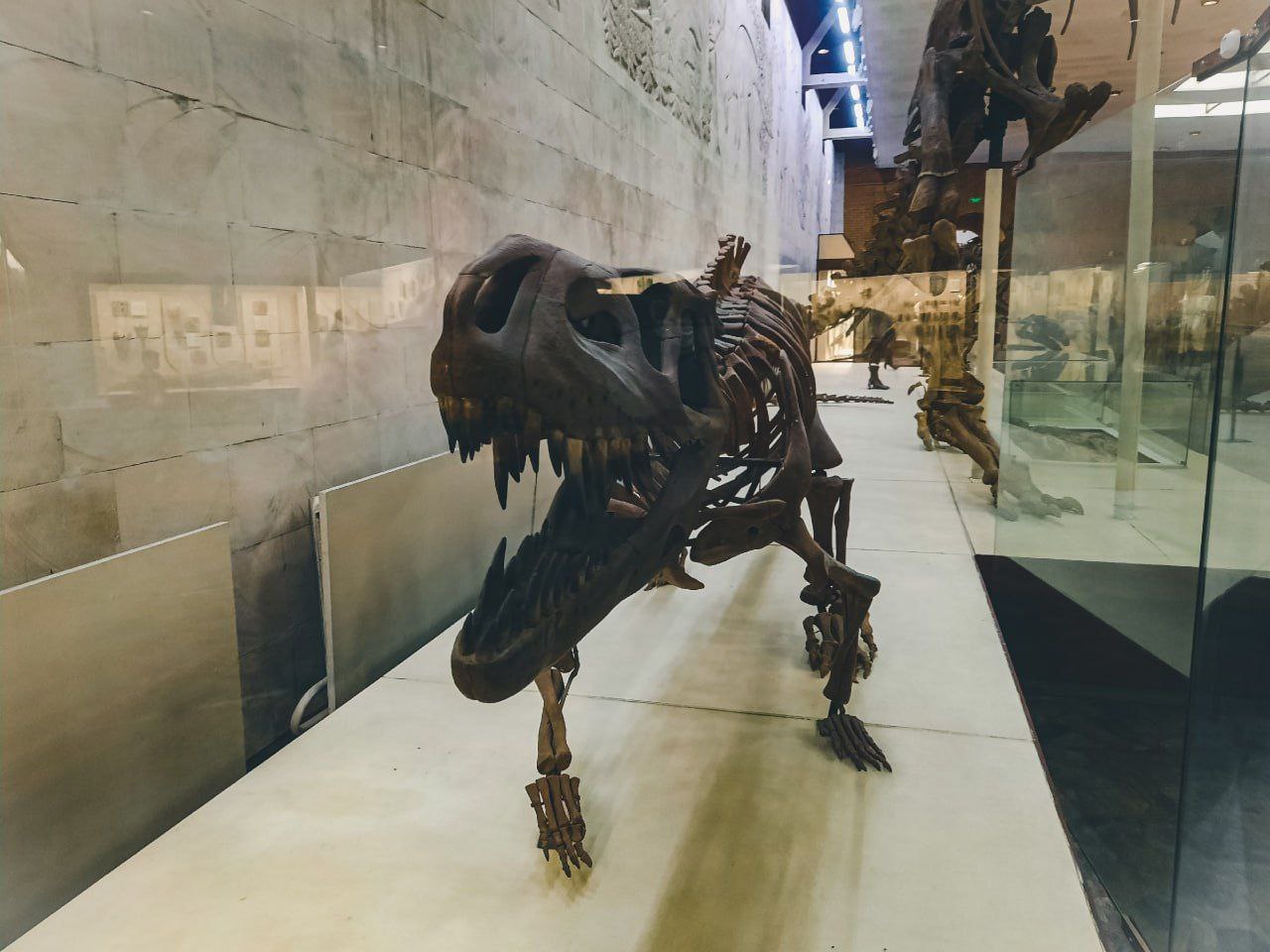 🦖Палеонтологический музей имени Ю.А. Орлова
Со среды по воскресенье музей работает с 10:00 до 18:00
Музей по праву считается одним из крупнейших естественноисторических музеев мира | Сетка — социальная сеть от hh.ru
