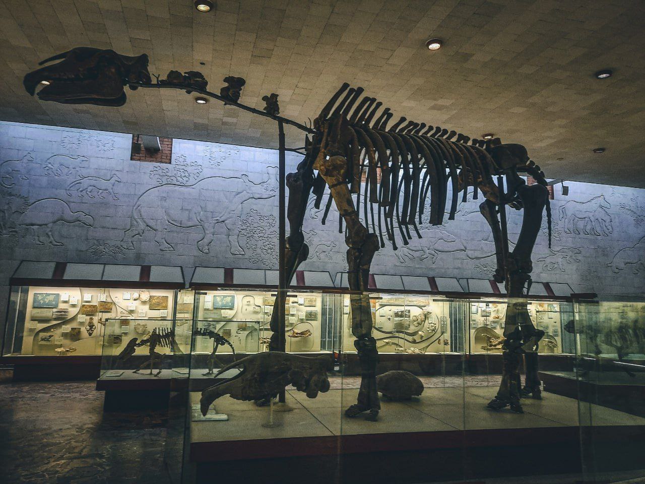 🦖Палеонтологический музей имени Ю.А. Орлова
Со среды по воскресенье музей работает с 10:00 до 18:00
Музей по праву считается одним из крупнейших естественноисторических музеев мира | Сетка — социальная сеть от hh.ru