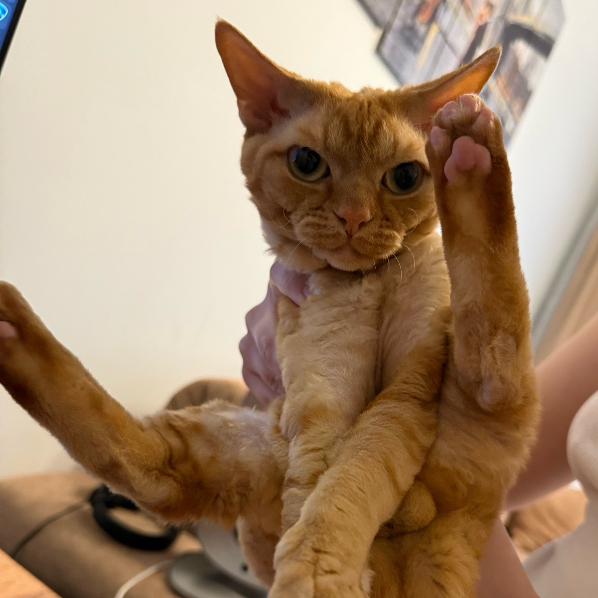 Игорь Сазыкин | Сетка — социальная сеть от hh.ru