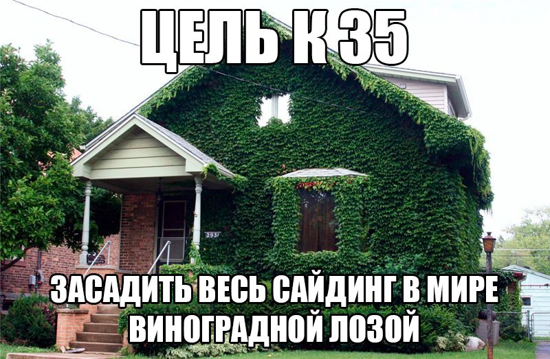 я тебя заложил, я тебя и засажу | Сетка — социальная сеть от hh.ru