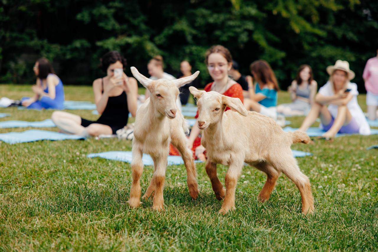 🐐Йога с козочками в Парке Горького
10 июля - 31 августа
каждый четверг
Ближайшие даты:
🗓10 июля 19:30
🗓10 июля 20:20
С собой необходима форма для йоги и бутылочка воды для практики
Занятия будет прово... | Сетка — социальная сеть от hh.ru