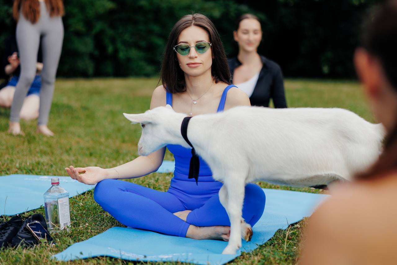 🐐Йога с козочками в Парке Горького
10 июля - 31 августа
каждый четверг
Ближайшие даты:
🗓10 июля 19:30
🗓10 июля 20:20
С собой необходима форма для йоги и бутылочка воды для практики
Занятия будет прово... | Сетка — социальная сеть от hh.ru