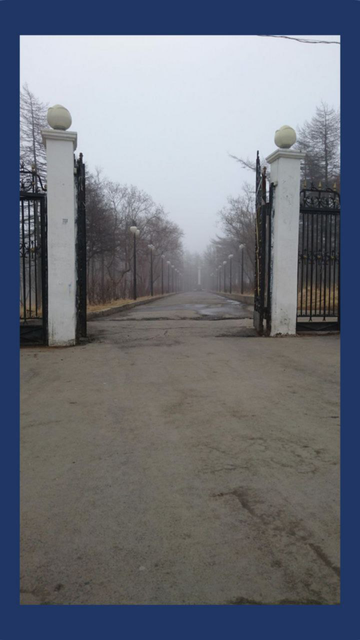 Врата! С ДР, Дорогой Парк! / HB Dear Park! | Сетка — социальная сеть от hh.ru