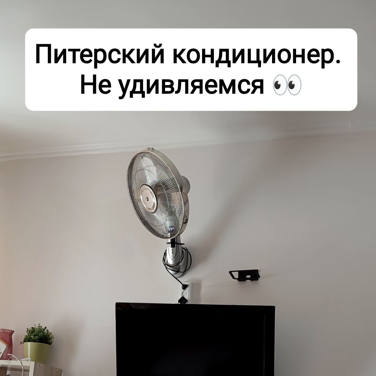 Из необычного в номере 👈 | Сетка — социальная сеть от hh.ru