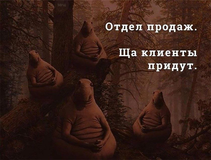 Неожиданные результаты консалтинга | Сетка — социальная сеть от hh.ru