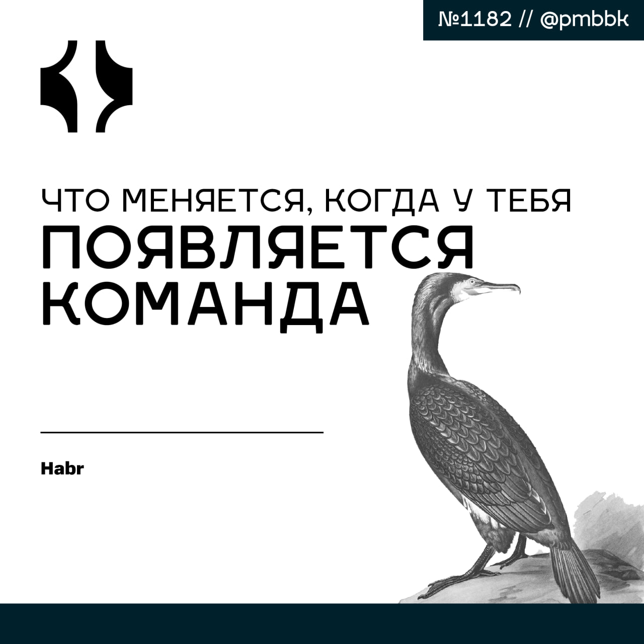 🐜 Что меняется, когда у тебя появляется команда
В статье рассказываю, с чем сталкиваются на своём пути начинающие тимлиды, и даю советы, как справляться с этими сложностями | Сетка — социальная сеть от hh.ru