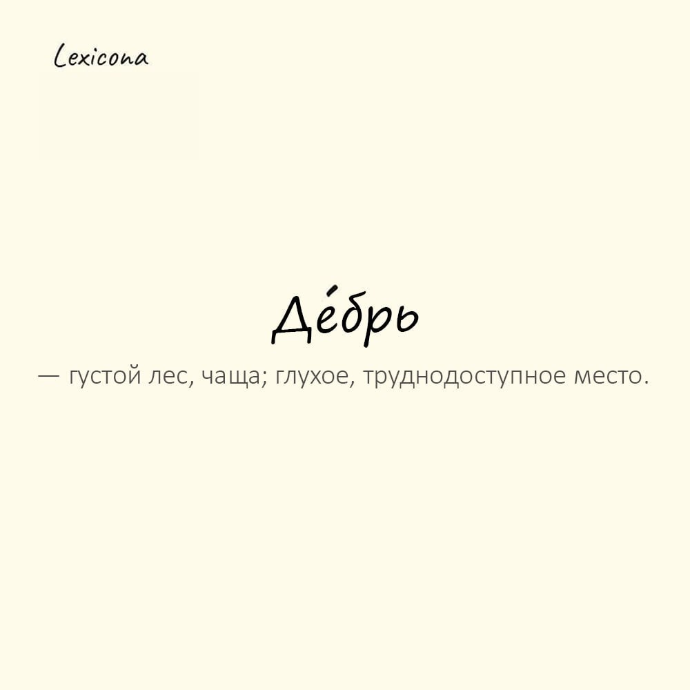 Дебрь — густой лес, чаща; глухое, труднодоступное место
Пример употребления:
Путники заблудились в дебри, где даже солнце не пробивалось сквозь кроны. | Сетка — социальная сеть от hh.ru