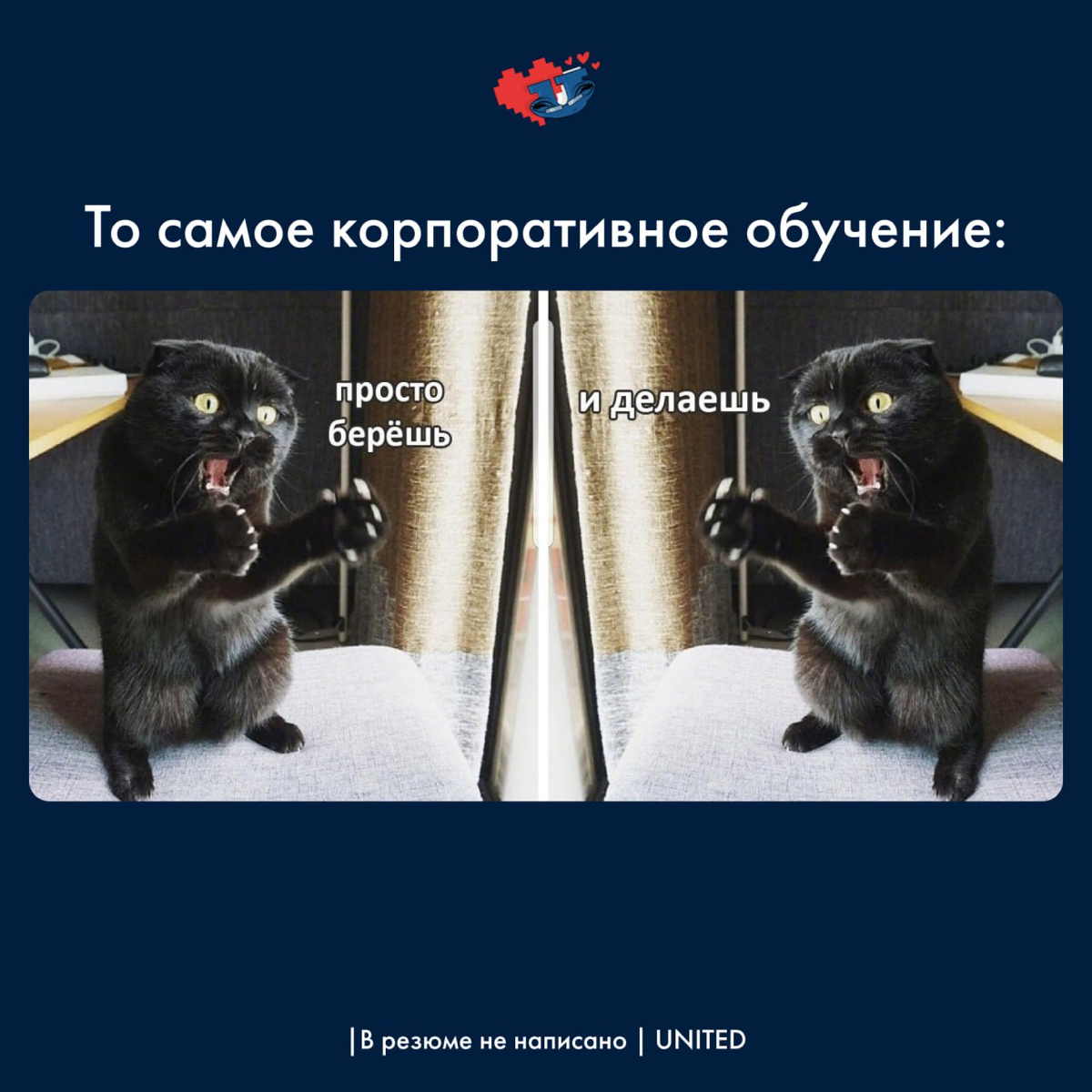 За годы работы мы убедились в том, что многие компании сталкиваются с проблемами найма поскольку внутренняя команда рекрутеров не до конца обучена | Сетка — социальная сеть от hh.ru