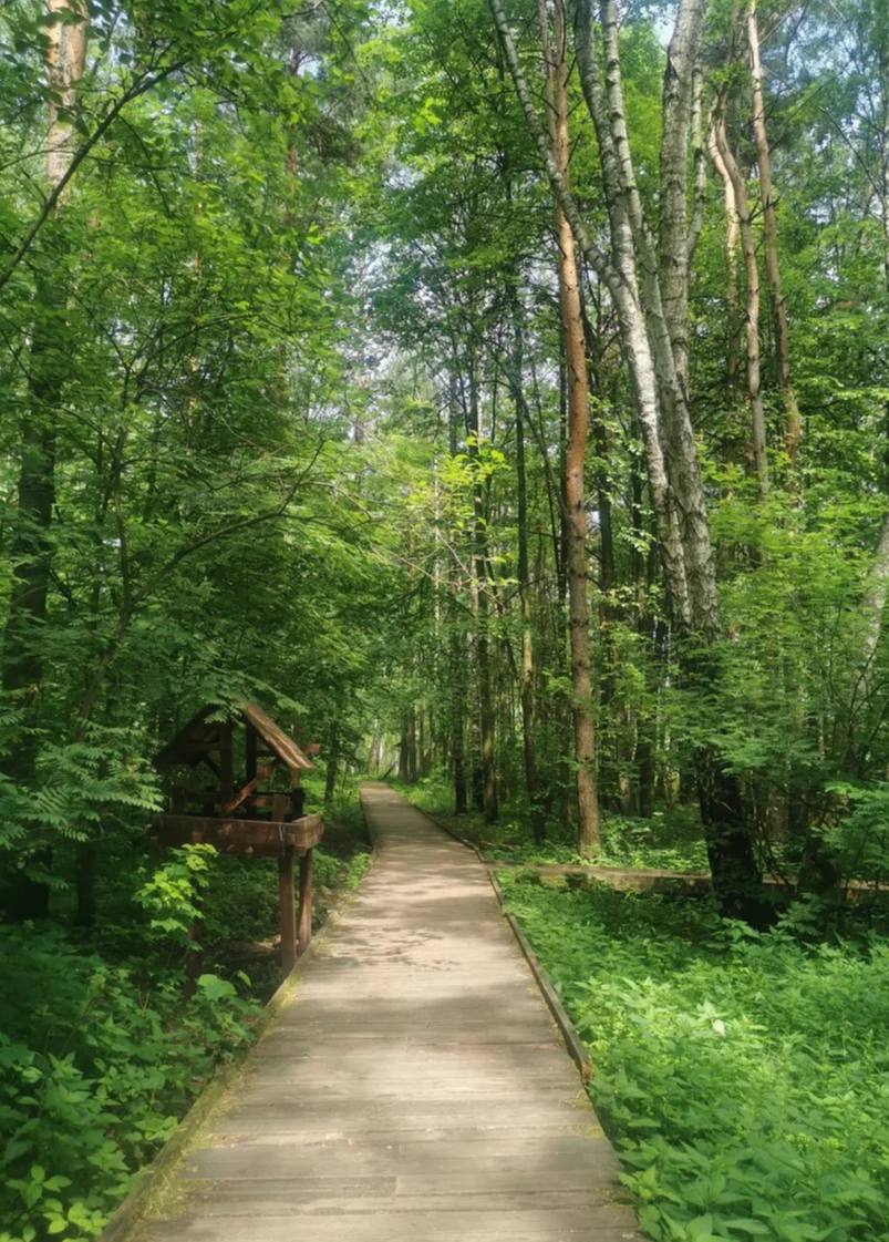 🌱Экотропы в Москве для прогулок на природе
Воздушная экотропа
📍территория парка Шереметьевская Дубрава
Тропарёвский лесопарк
📍р | Сетка — социальная сеть от hh.ru