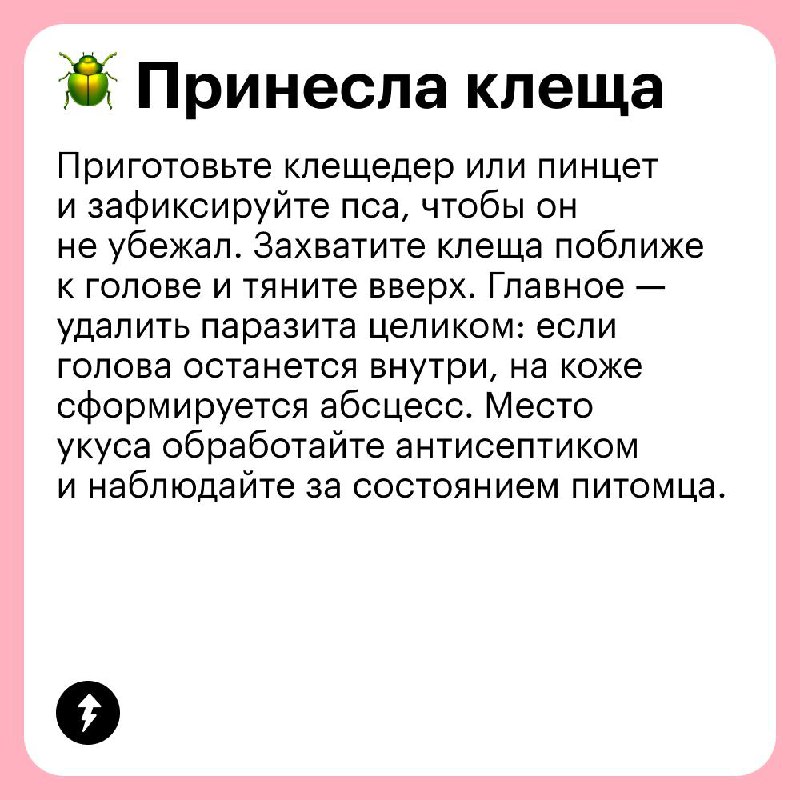 Выгуливаем собаку без проблем 🐩
В честь Международного дня собак рассказываем, какие сложности могут возникнуть на прогулке с вашим хвостатым и как их решать | Сетка — социальная сеть от hh.ru