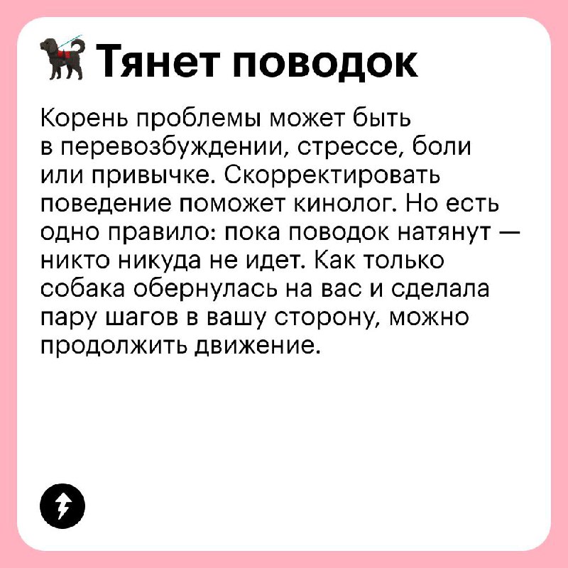 Выгуливаем собаку без проблем 🐩
В честь Международного дня собак рассказываем, какие сложности могут возникнуть на прогулке с вашим хвостатым и как их решать | Сетка — социальная сеть от hh.ru