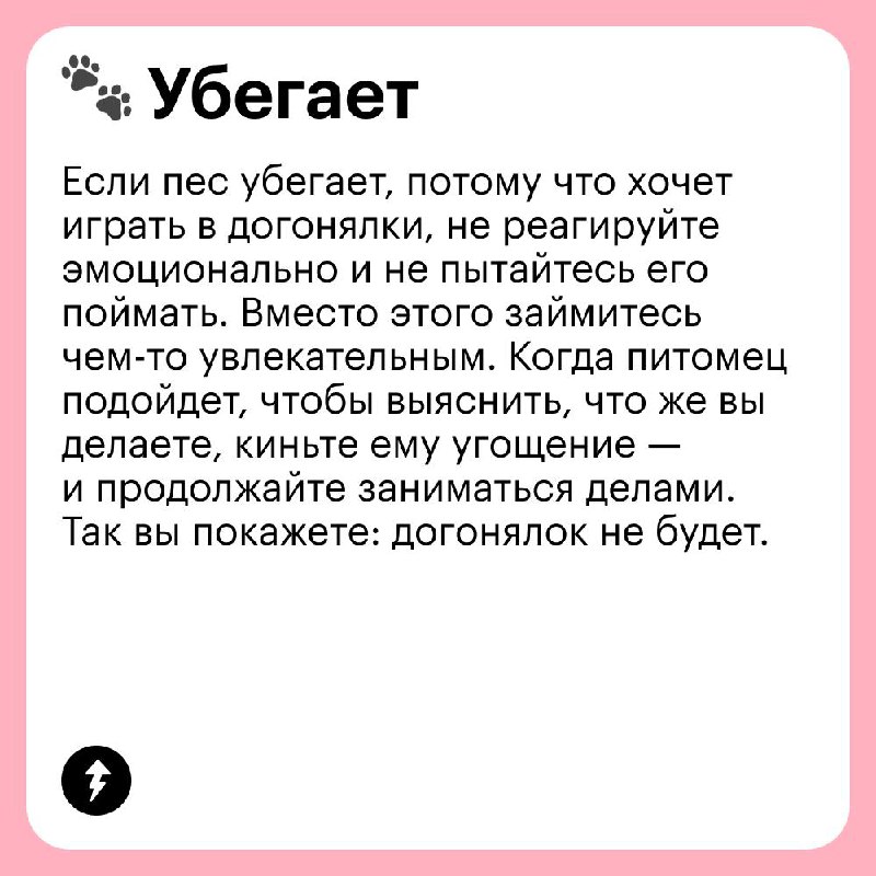 Выгуливаем собаку без проблем 🐩
В честь Международного дня собак рассказываем, какие сложности могут возникнуть на прогулке с вашим хвостатым и как их решать | Сетка — социальная сеть от hh.ru