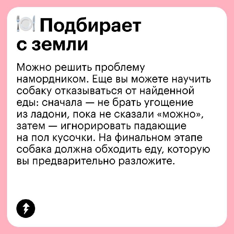 Выгуливаем собаку без проблем 🐩
В честь Международного дня собак рассказываем, какие сложности могут возникнуть на прогулке с вашим хвостатым и как их решать | Сетка — социальная сеть от hh.ru