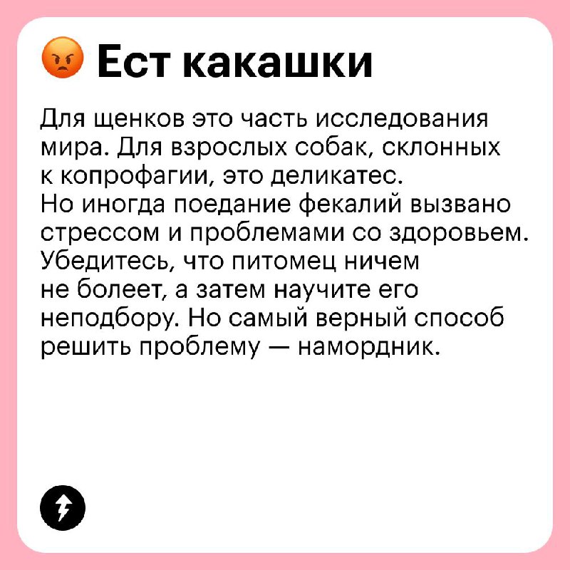 Выгуливаем собаку без проблем 🐩
В честь Международного дня собак рассказываем, какие сложности могут возникнуть на прогулке с вашим хвостатым и как их решать | Сетка — социальная сеть от hh.ru