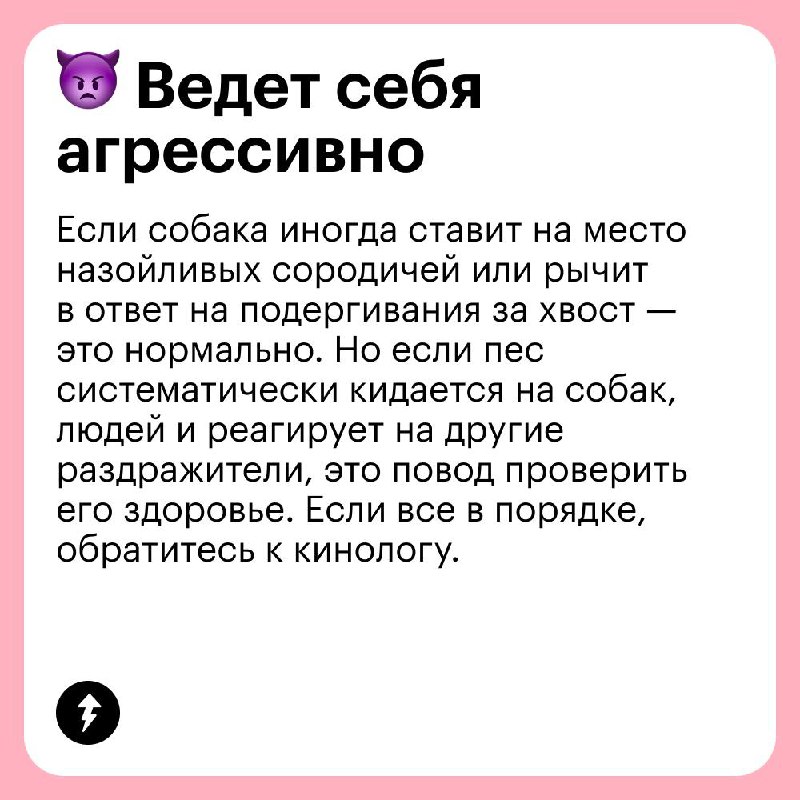 Выгуливаем собаку без проблем 🐩
В честь Международного дня собак рассказываем, какие сложности могут возникнуть на прогулке с вашим хвостатым и как их решать | Сетка — социальная сеть от hh.ru