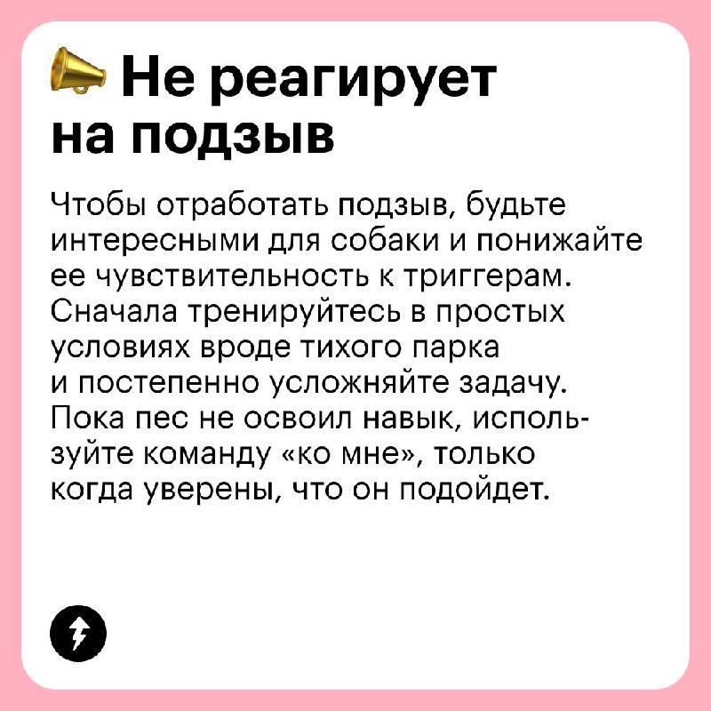 Выгуливаем собаку без проблем 🐩
В честь Международного дня собак рассказываем, какие сложности могут возникнуть на прогулке с вашим хвостатым и как их решать | Сетка — социальная сеть от hh.ru