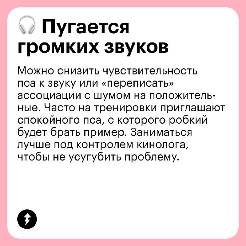 Выгуливаем собаку без проблем 🐩
В честь Международного дня собак рассказываем, какие сложности могут возникнуть на прогулке с вашим хвостатым и как их решать | Сетка — социальная сеть от hh.ru