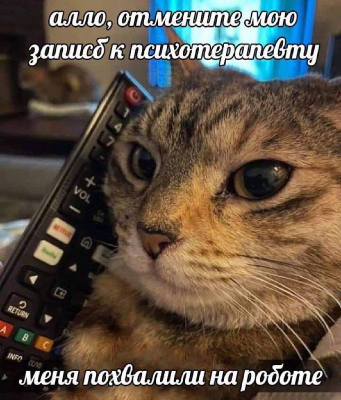 Обратная связь как источник стресса и депрессии | Сетка — социальная сеть от hh.ru