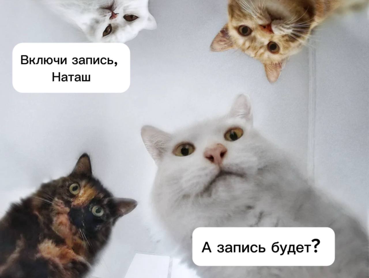 Друзья, начинаем нашу zoom-сессию уже через час :) в 19 | Сетка — социальная сеть от hh.ru