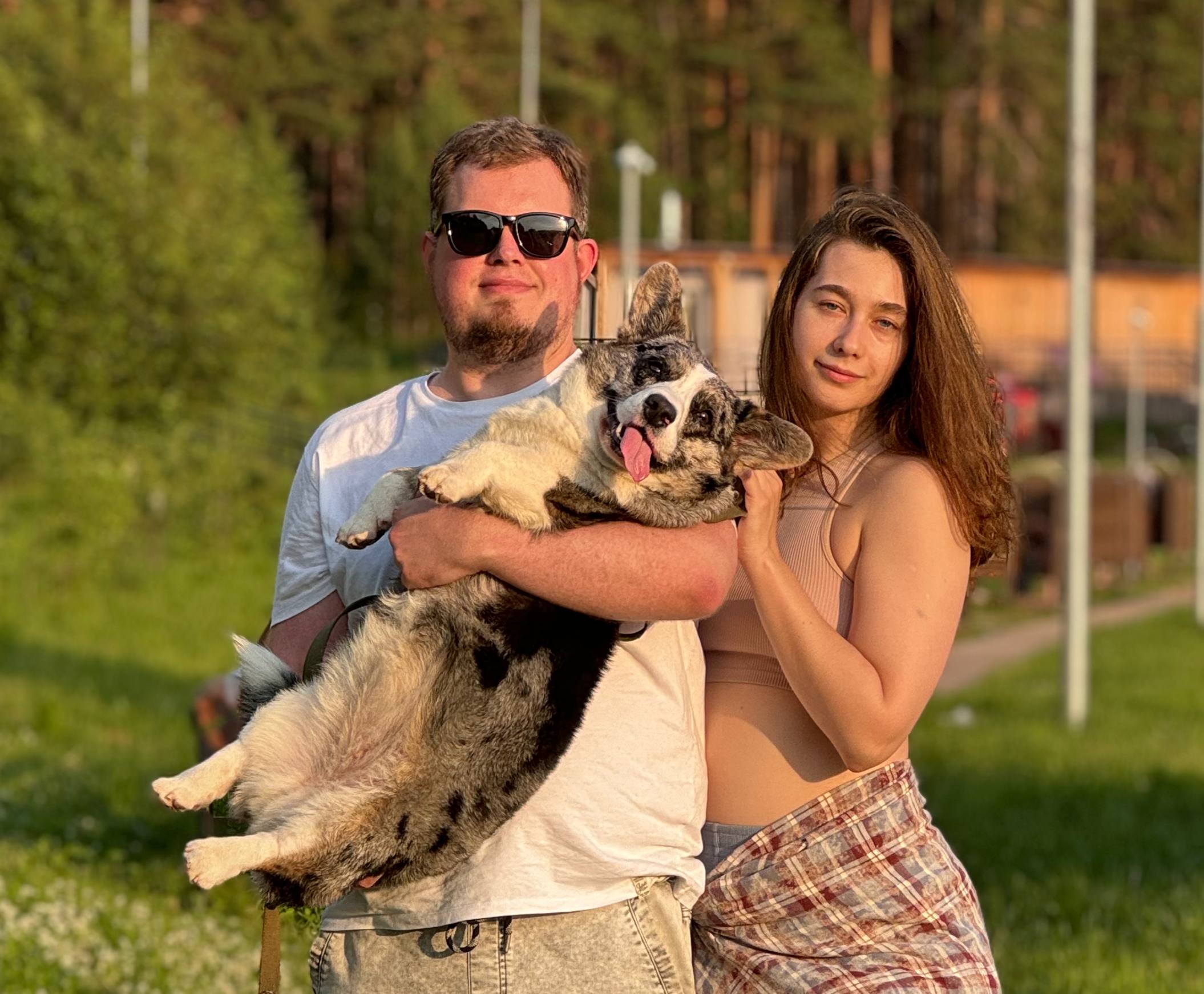 Сегодня международный день собак! Да он не очень официальный, но народ его празднует.
Погладьте своих хвостов! | Сетка — социальная сеть от hh.ru