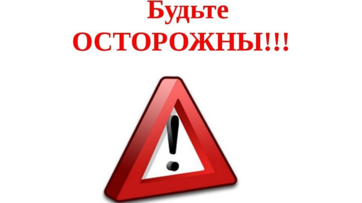 Привет 👋
Какая микрозелень может быть ядовитой, но при этом употребляться в пищу, требует осторожности.
Вот несколько важных моментов:
1 | Сетка — социальная сеть от hh.ru